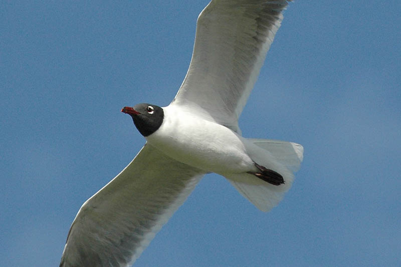 1209