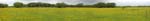 pano
