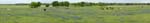 pano2
