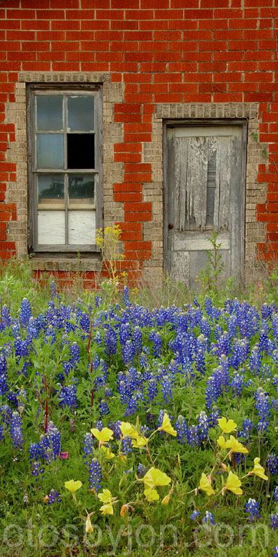 HillCountryContrast
