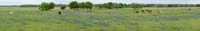 SouthTexas